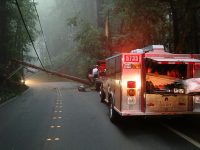 Gallery – Firefighters