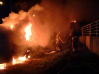 Gallery – Auto Fire