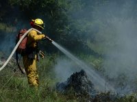 Gallery – Firefighters