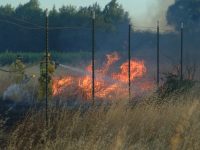 Gallery – Firefighters