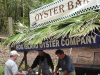 Gallery – OFD Events