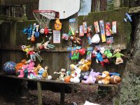 Gallery – OFD Events