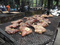 Gallery – OFD Events