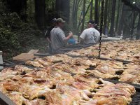 Gallery – OFD Events