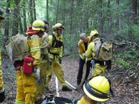 Gallery – Firefighters