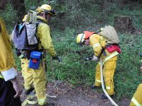 Gallery – Firefighters