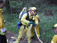 Gallery – Firefighters
