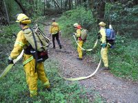 Gallery – Firefighters