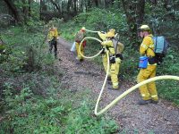 Gallery – Firefighters