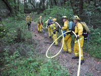 Gallery – Firefighters