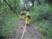 Gallery – Firefighters