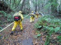 Gallery – Firefighters