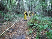 Gallery – Firefighters